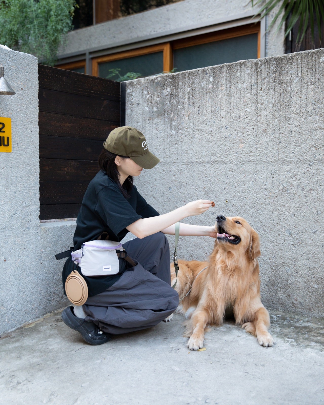 A pet parent offering a reward to a golden retriever during a walk