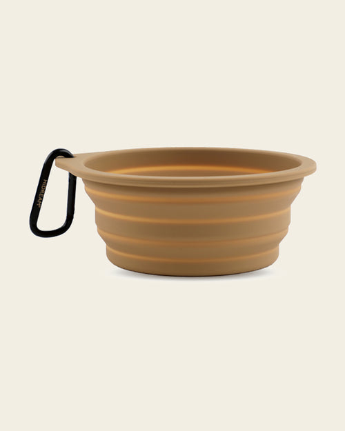Collapsible Silicone Travel Bowl