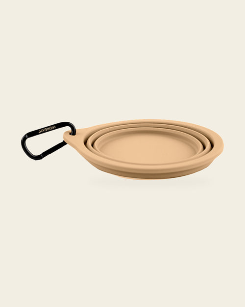 Collapsible Silicone Travel Bowl