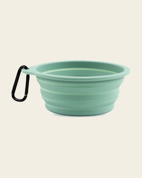Collapsible Silicone Travel Bowl