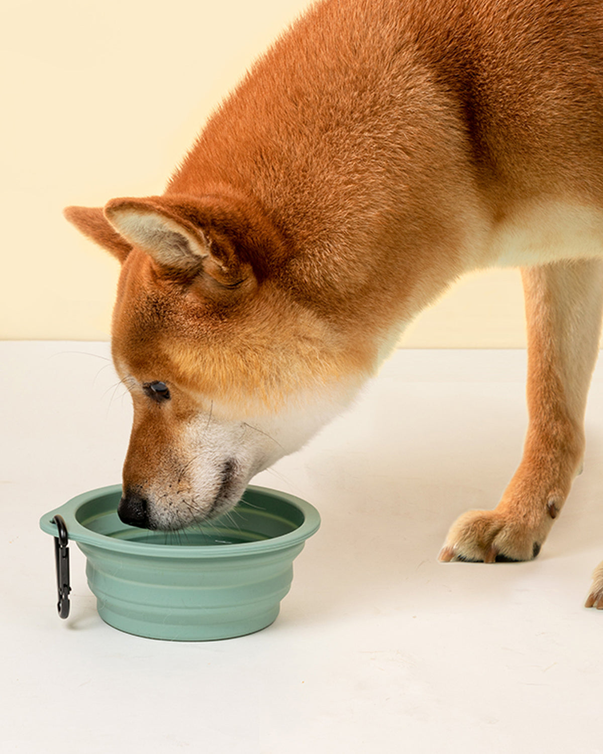 Collapsible Silicone Travel Bowl