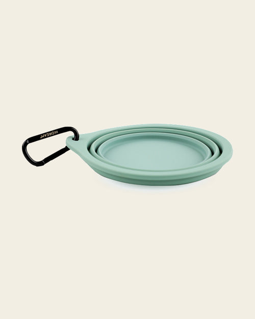 Collapsible Silicone Travel Bowl