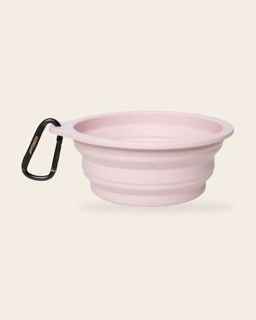 Collapsible Silicone Travel Bowl