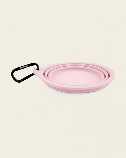 Collapsible Silicone Travel Bowl
