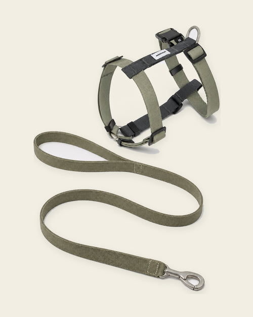 Valley Harness & Lead Set