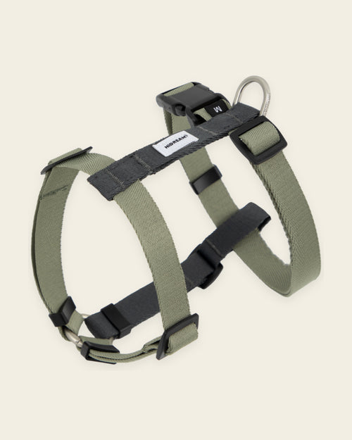 Valley Harness & Lead Set