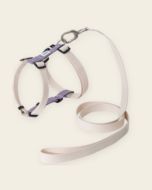 Valley Harness & Lead Set