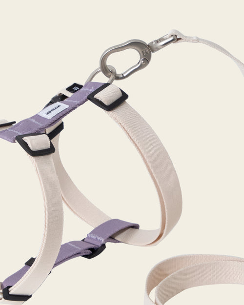 Milk and purple Valley harness lead attachment point detail