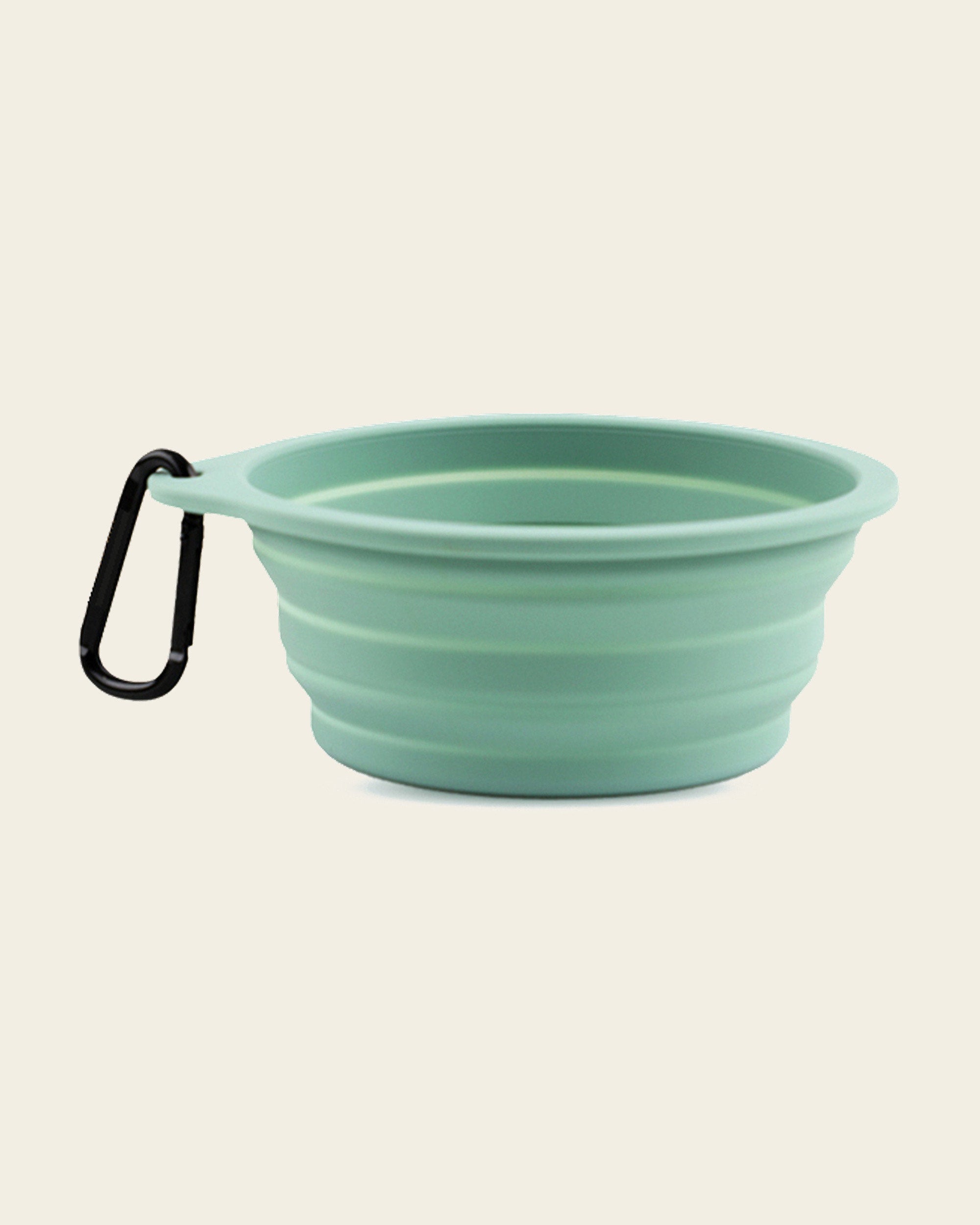 Collapsible Silicone Travel Bowl